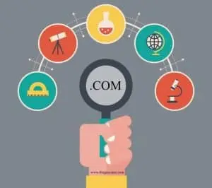 search-domain-names