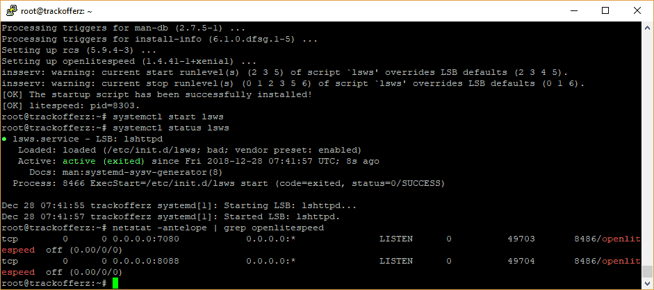 open-port-for-openlitespeed